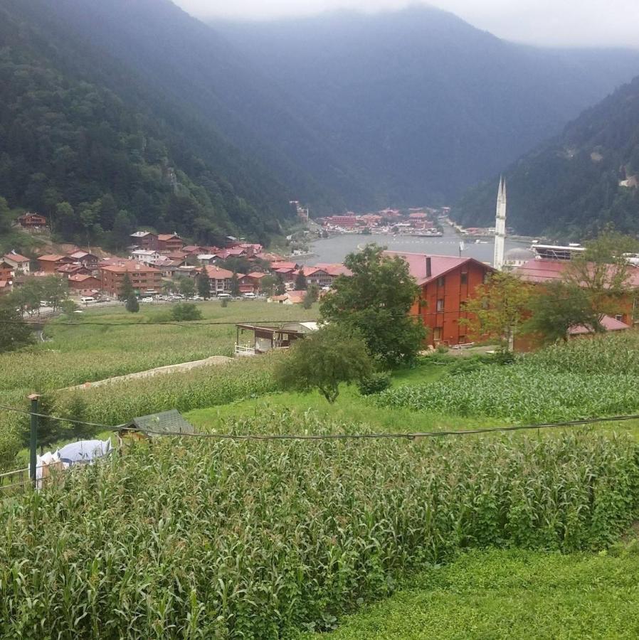 Zeren Apart Aparthotel Uzungöl Buitenkant foto