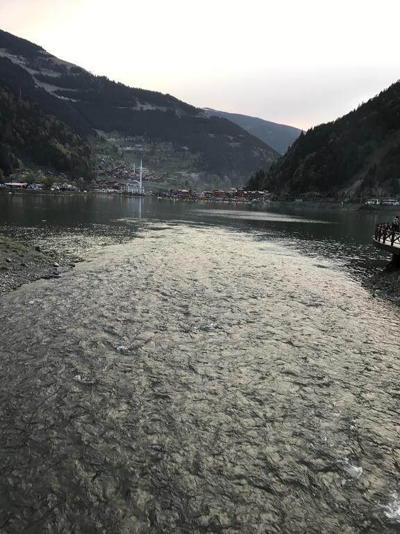 Zeren Apart Aparthotel Uzungöl Buitenkant foto